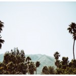 Palm Springs.