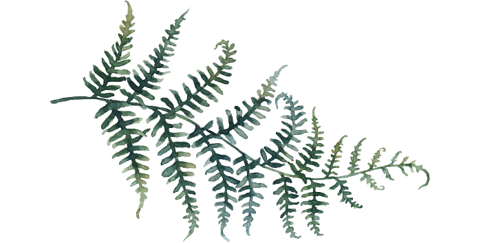 Jag Lever – I Live